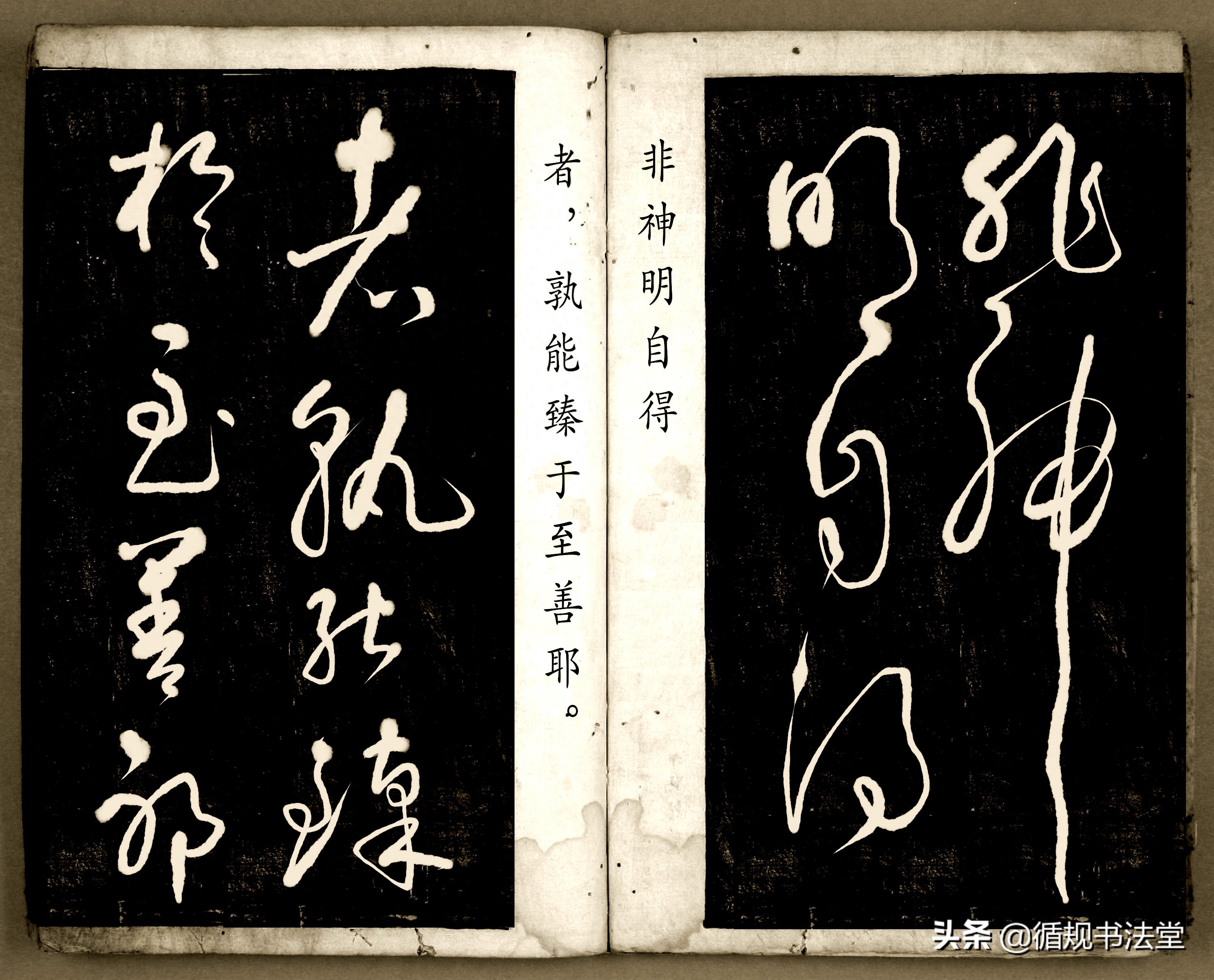 书法爱好者首选读物:高进原版草书集《书法金句100句》,非常棒(图110) 书法爱好者首选读物:高进原版草书集《书法金句100句》,非常棒(图110)