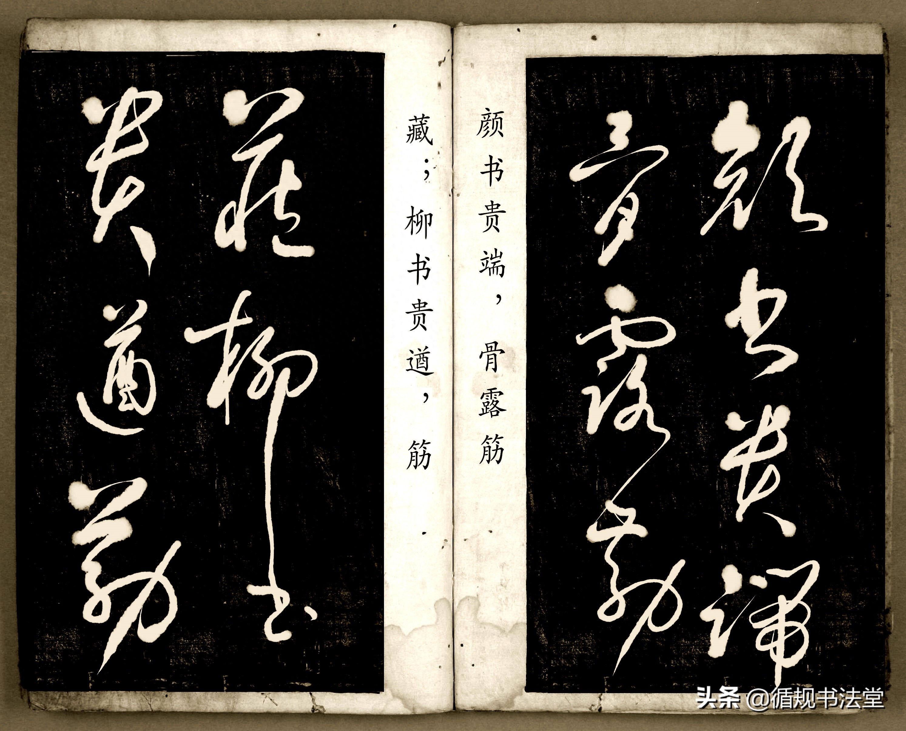 书法爱好者首选读物:高进原版草书集《书法金句100句》,非常棒(图111) 书法爱好者首选读物:高进原版草书集《书法金句100句》,非常棒(图111)