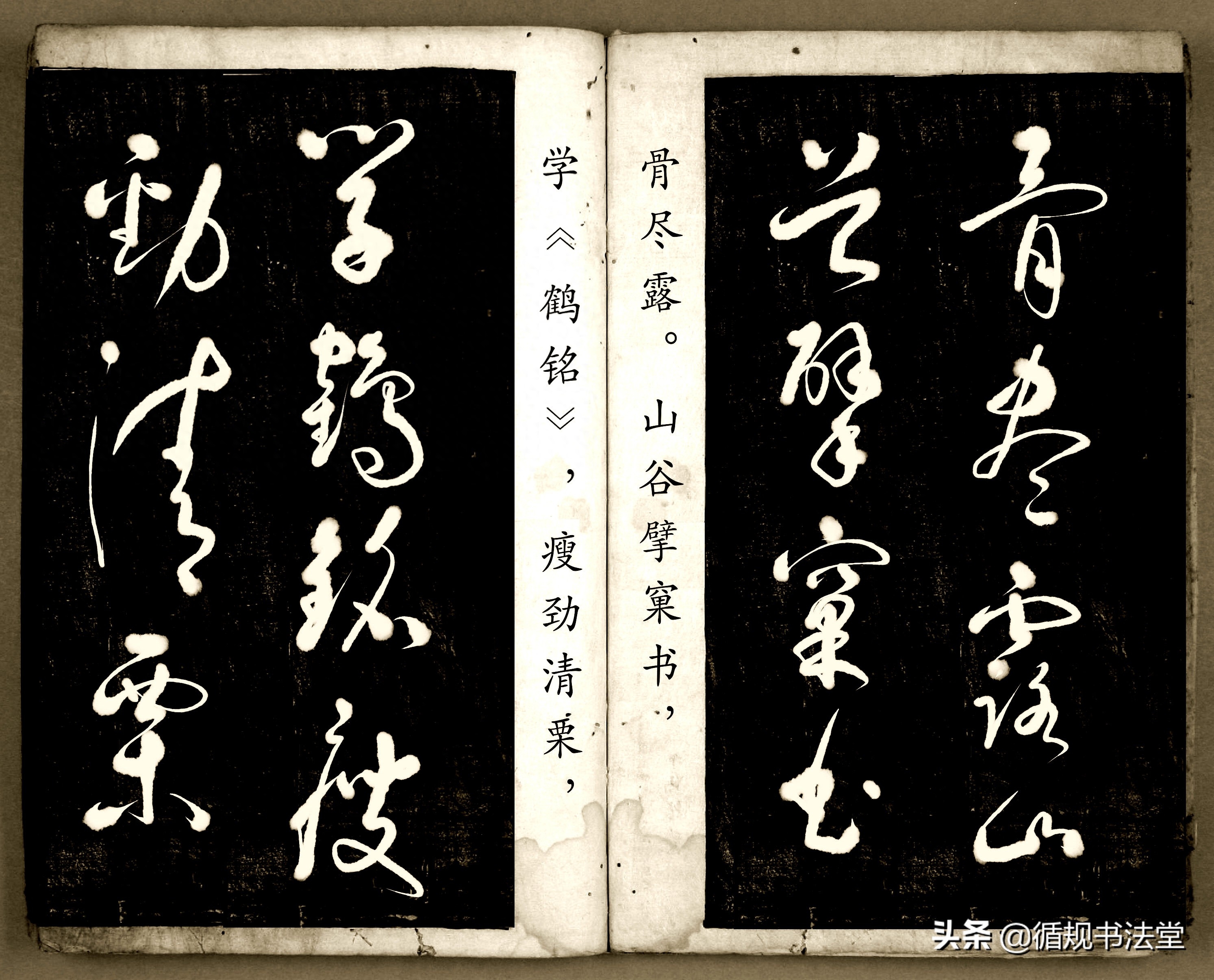 书法爱好者首选读物:高进原版草书集《书法金句100句》,非常棒(图112) 书法爱好者首选读物:高进原版草书集《书法金句100句》,非常棒(图112)