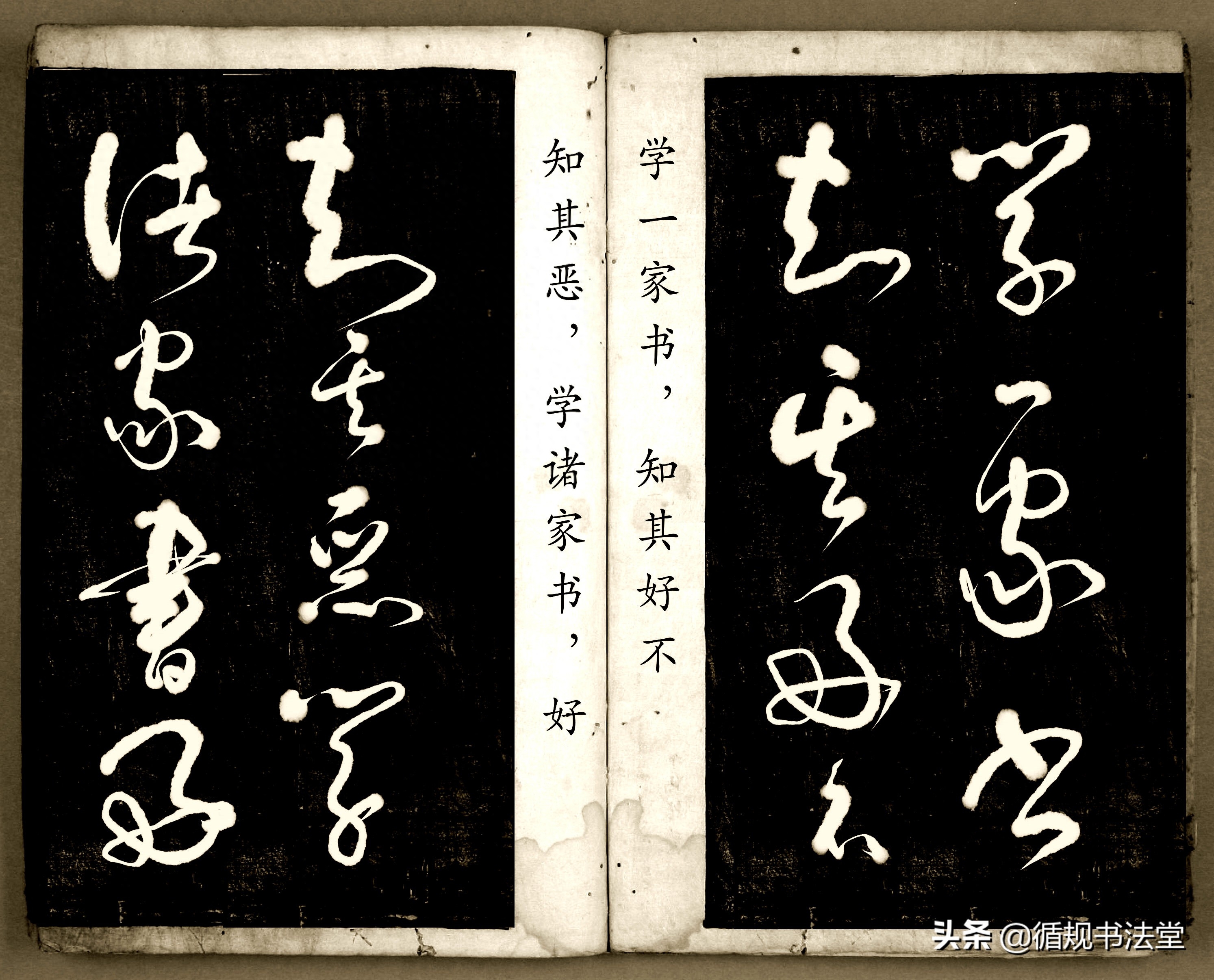 书法爱好者首选读物:高进原版草书集《书法金句100句》,非常棒(图117) 书法爱好者首选读物:高进原版草书集《书法金句100句》,非常棒(图117)