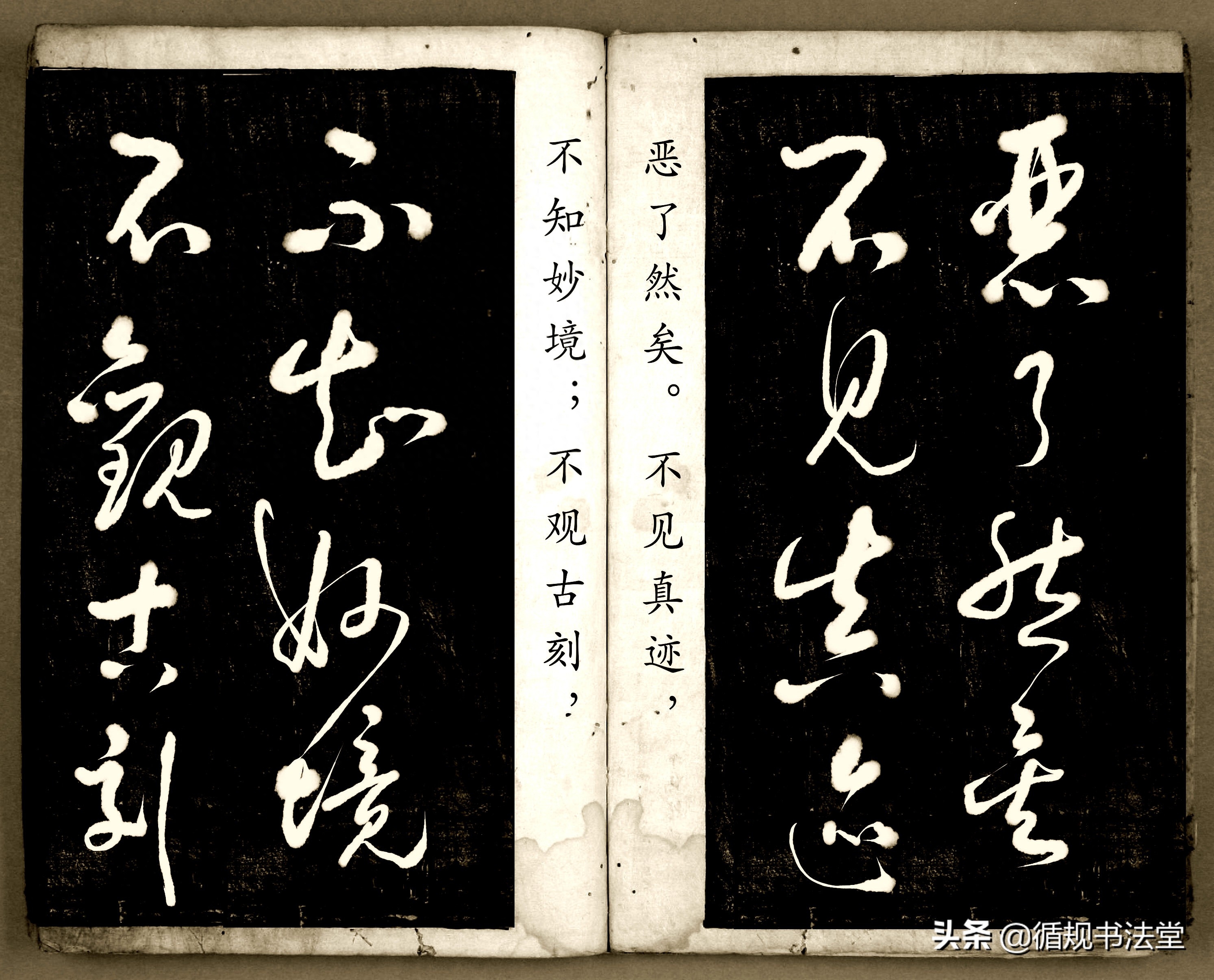 书法爱好者首选读物:高进原版草书集《书法金句100句》,非常棒(图118) 书法爱好者首选读物:高进原版草书集《书法金句100句》,非常棒(图118)