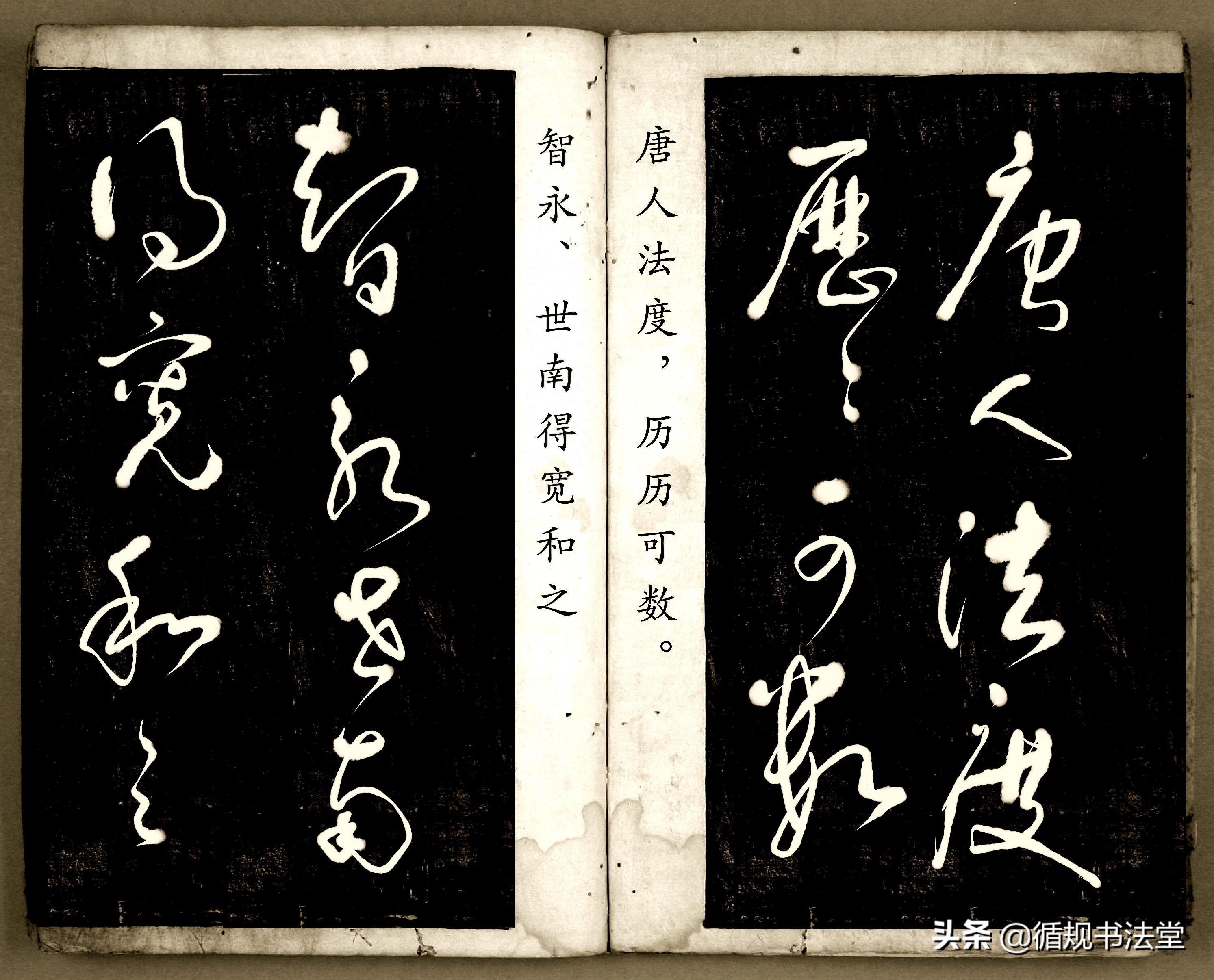 书法爱好者首选读物:高进原版草书集《书法金句100句》,非常棒(图139) 书法爱好者首选读物:高进原版草书集《书法金句100句》,非常棒(图139)