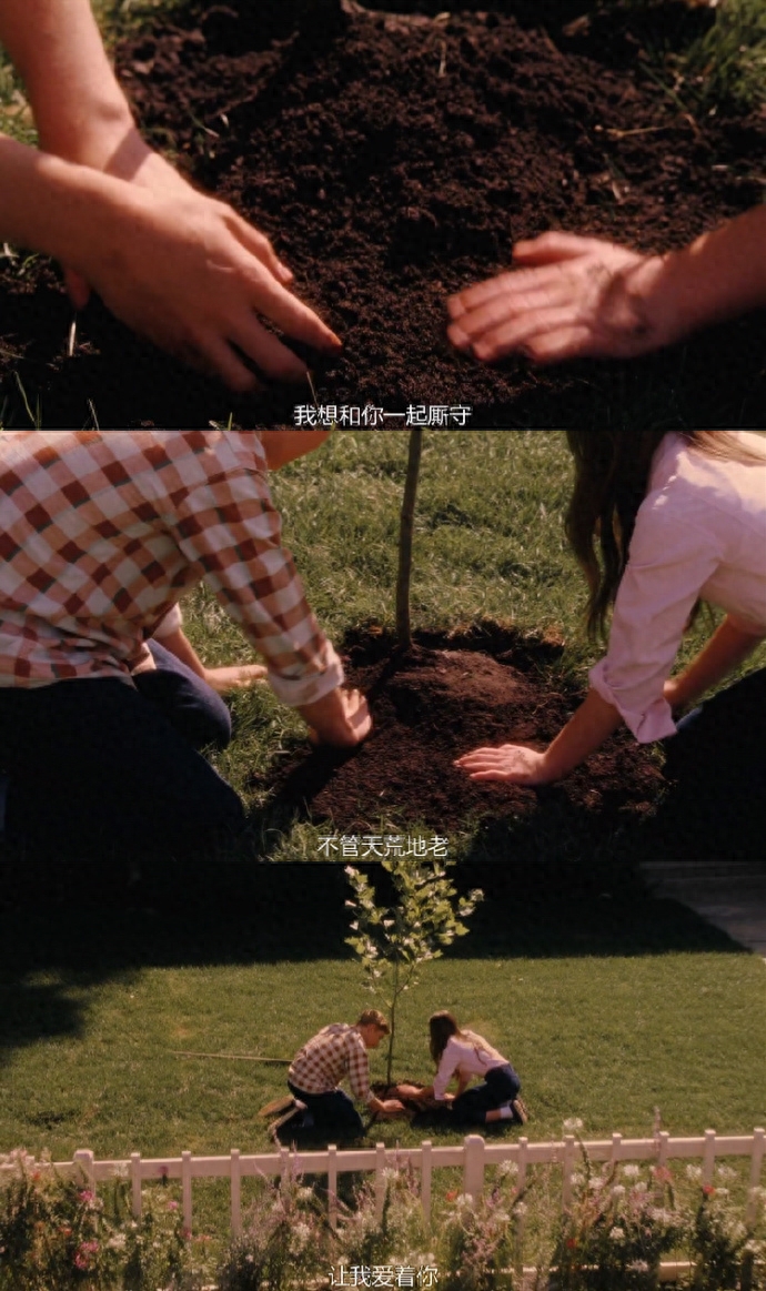 30条适合恋爱官宣的句子：斯人若彩虹，遇上方知有(图2)