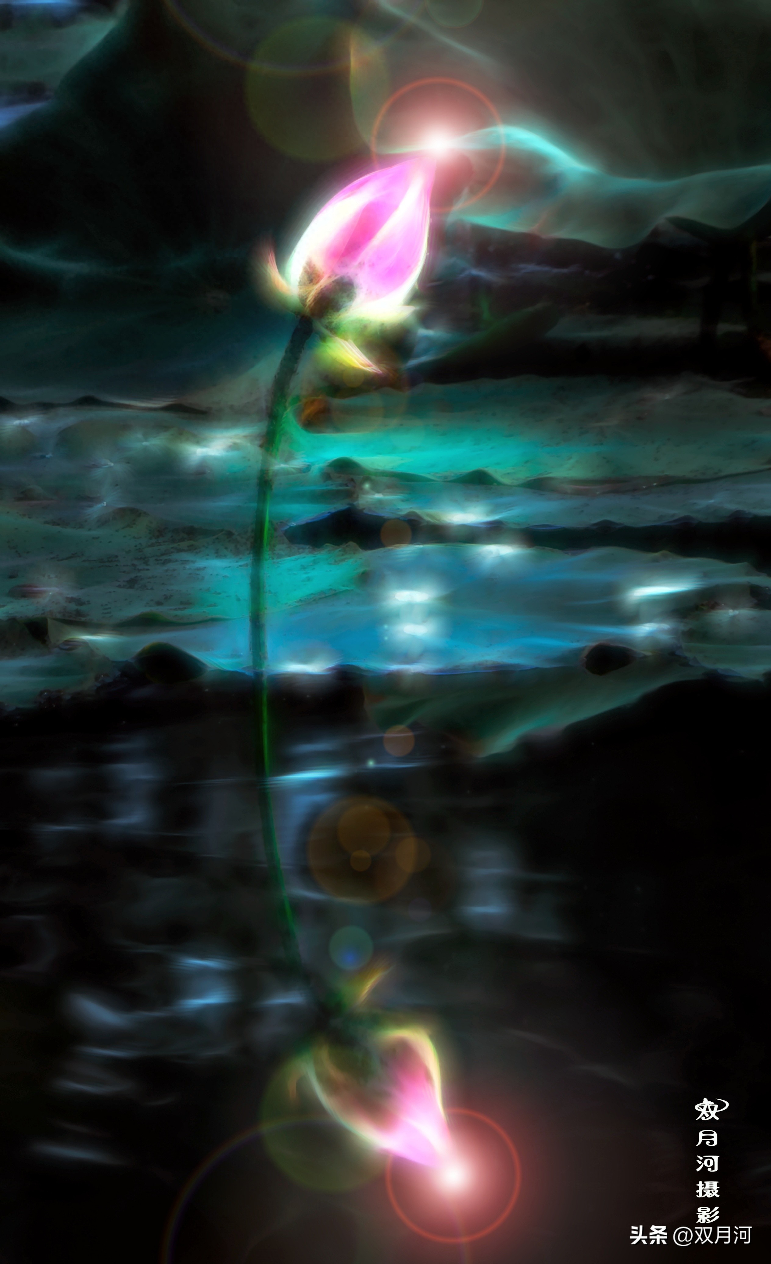 描写赞美荷花的古诗名句(图56)