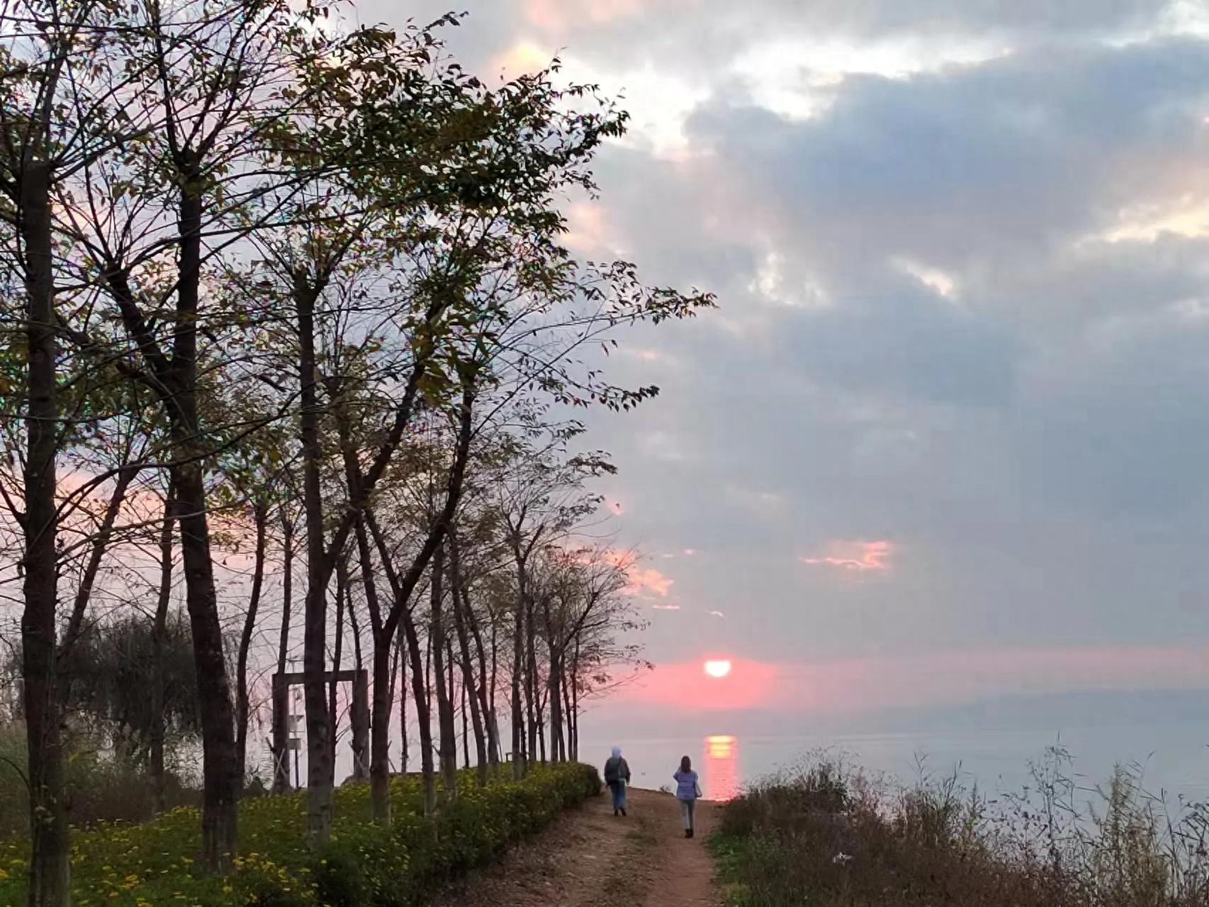 身处黑暗，心向光明(图2)