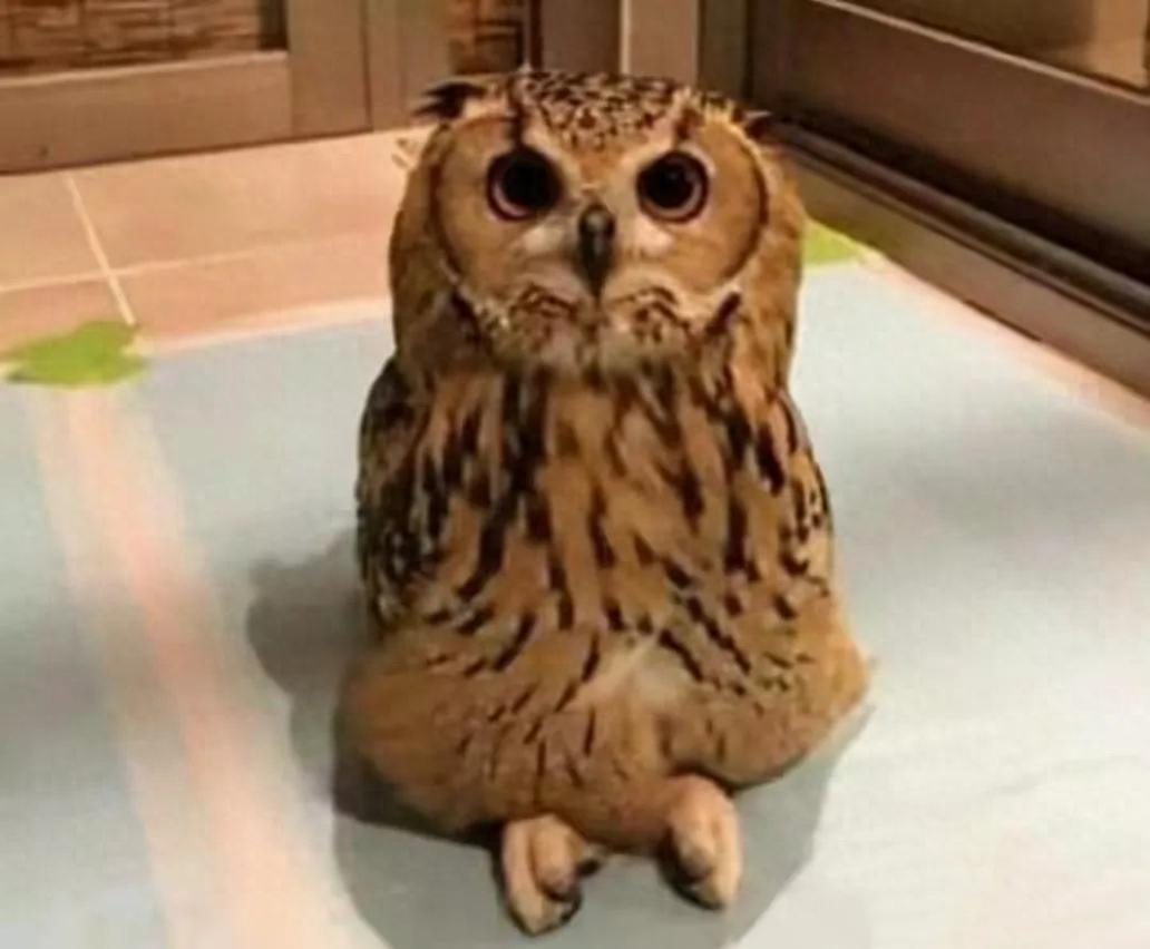 身处黑暗，心向光明(图3)