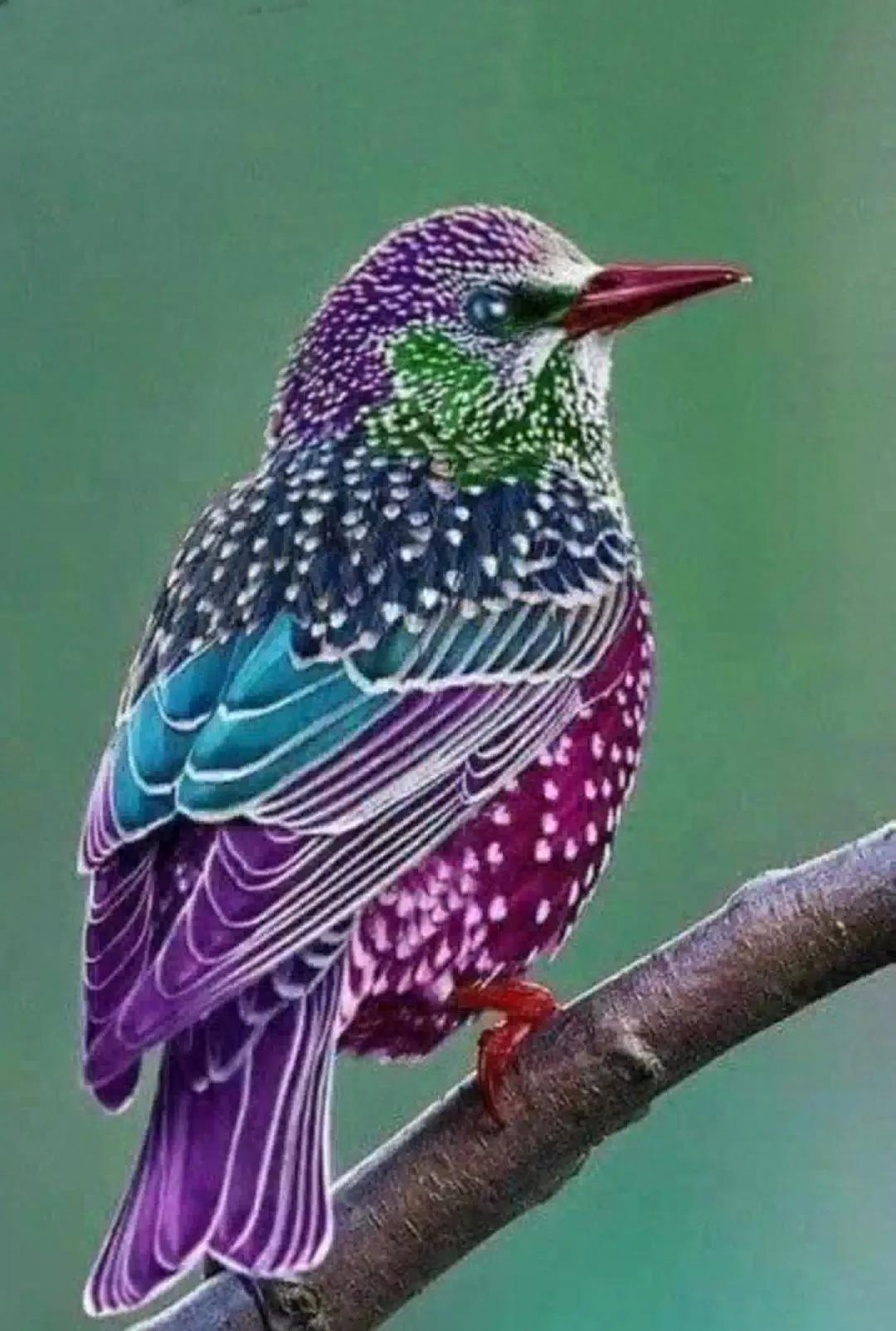 身处黑暗，心向光明(图4)