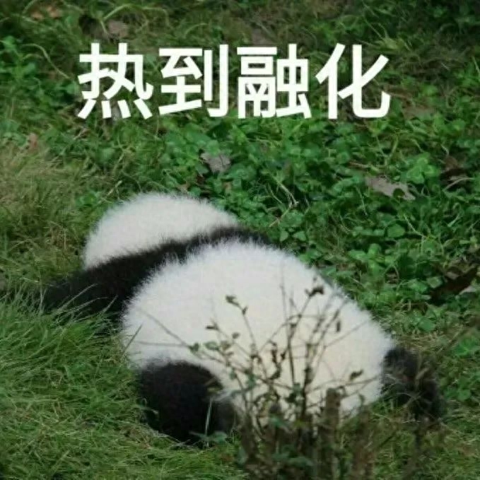 错过等一年！这些地方最美的时候在八月！夏天余额不足，快来场说走就走的旅行~(图1)