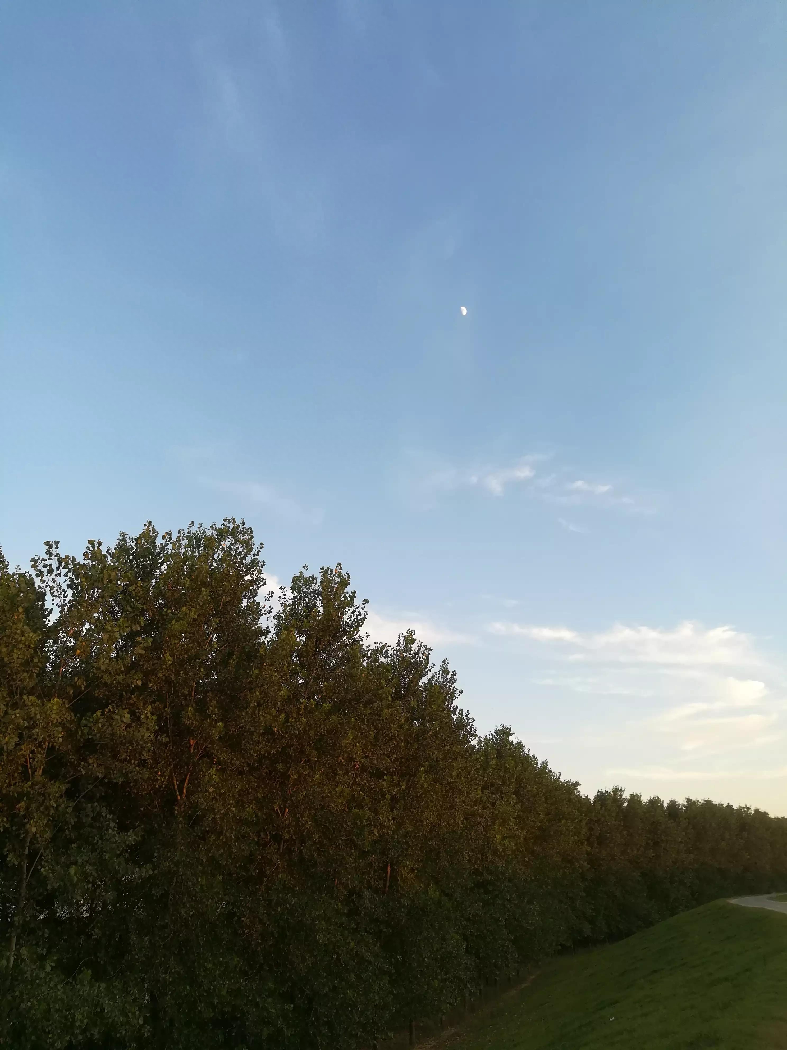 夏日的天空真美(图11)