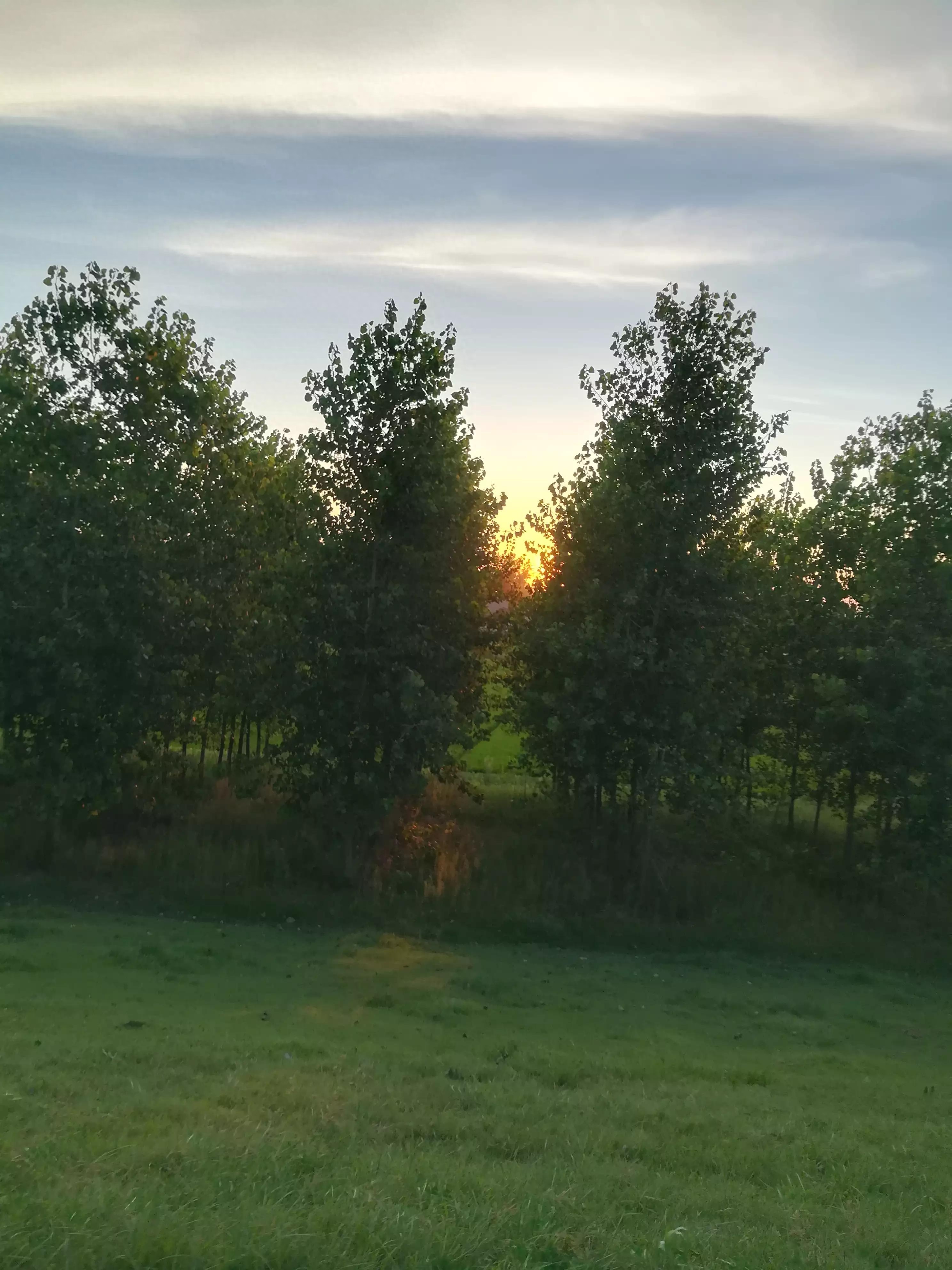 夏日的天空真美(图12)