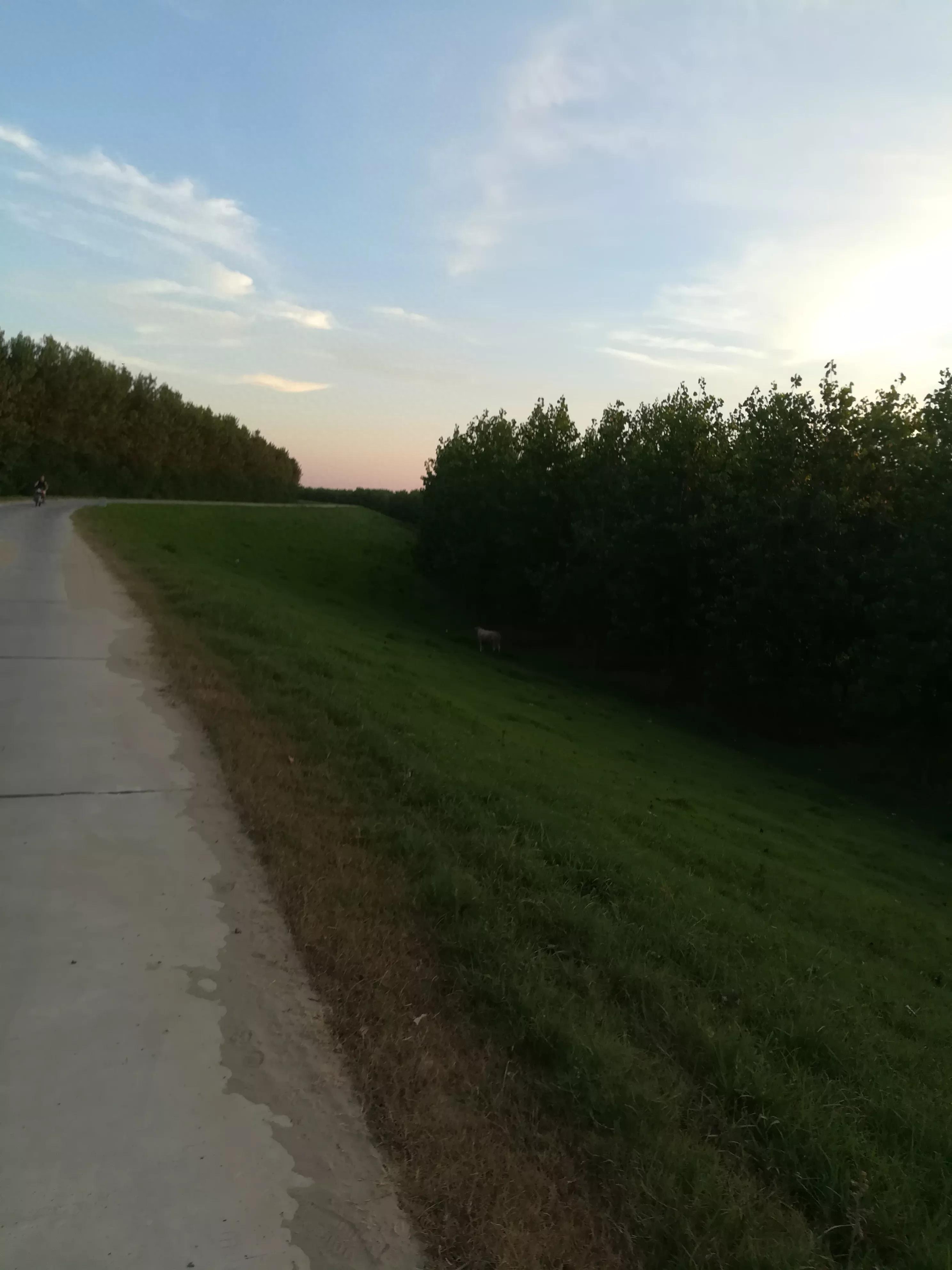 夏日的天空真美(图14)