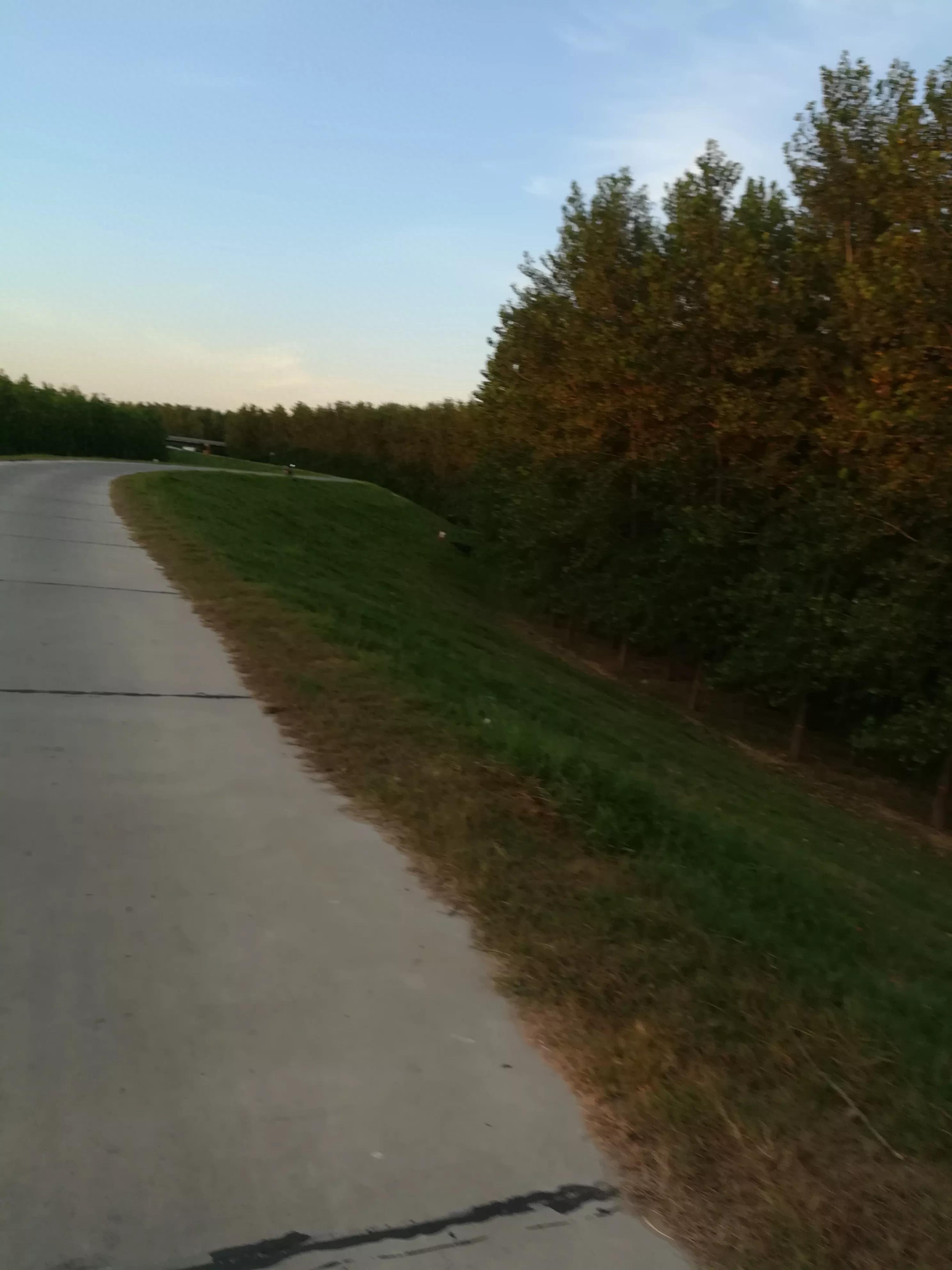 夏日的天空真美(图15)