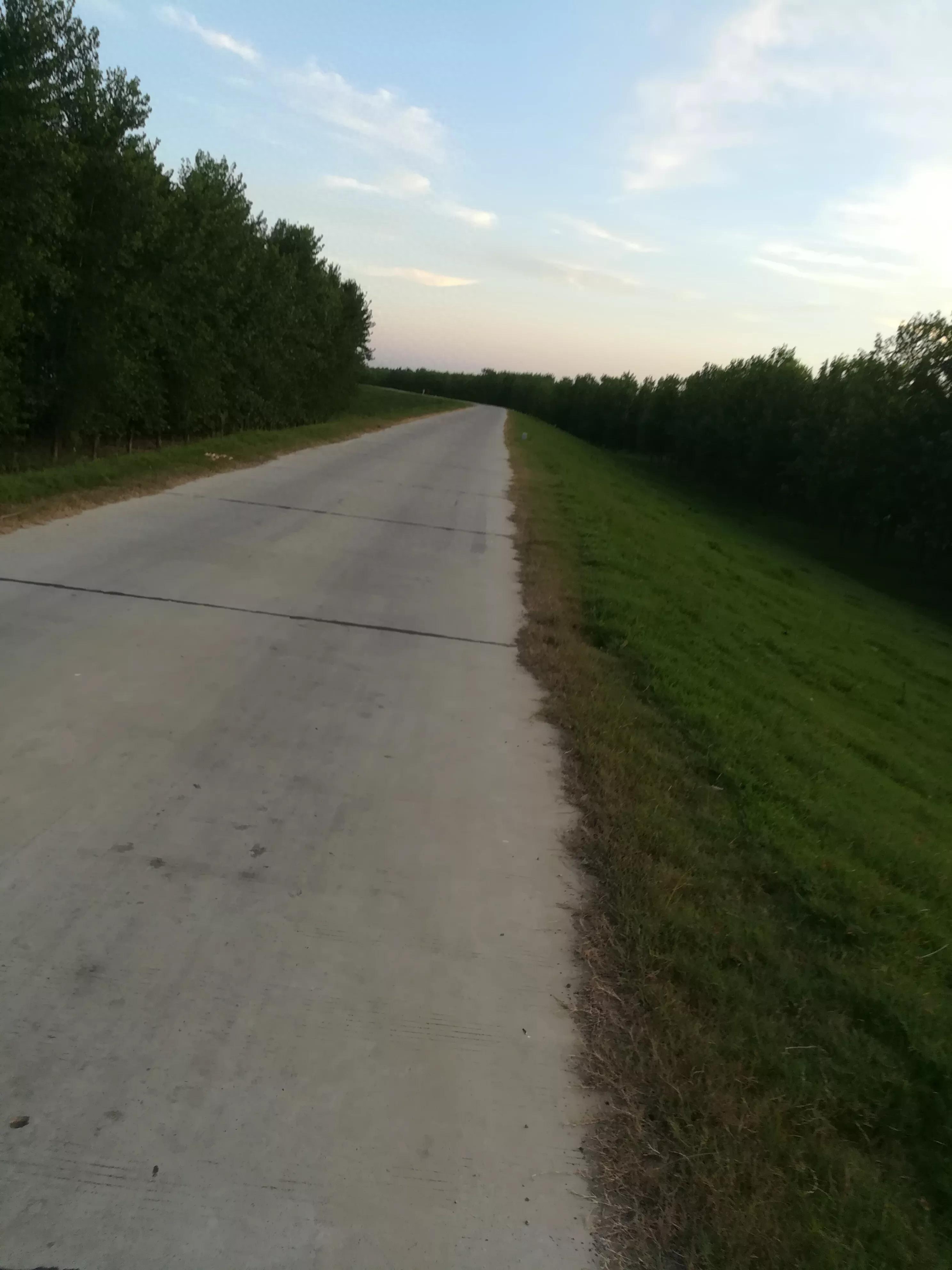 夏日的天空真美(图16)