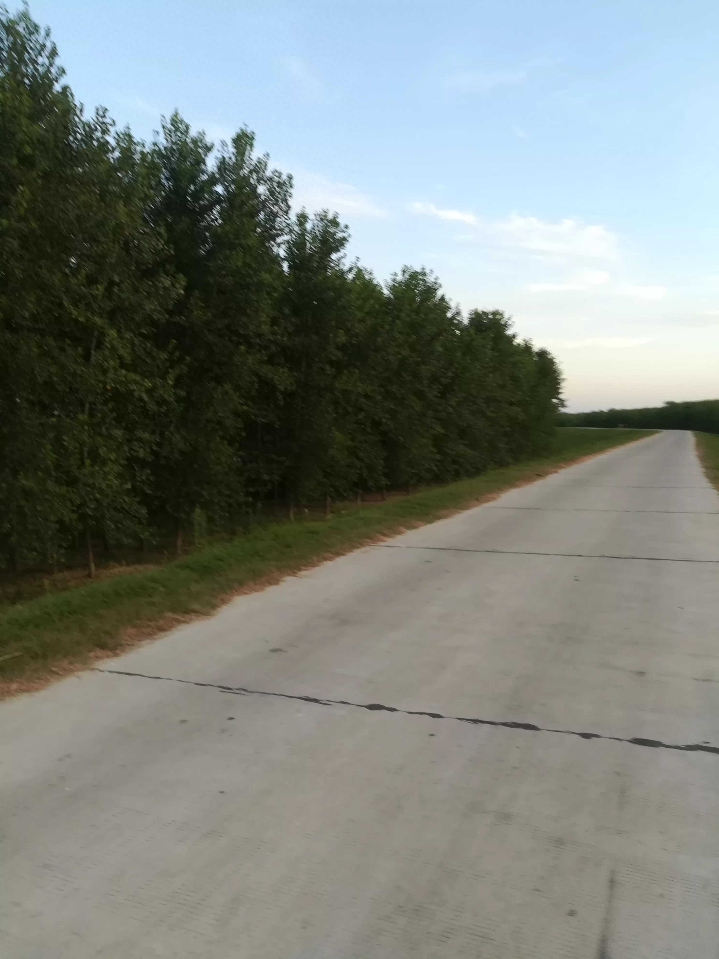 夏日的天空真美(图17)