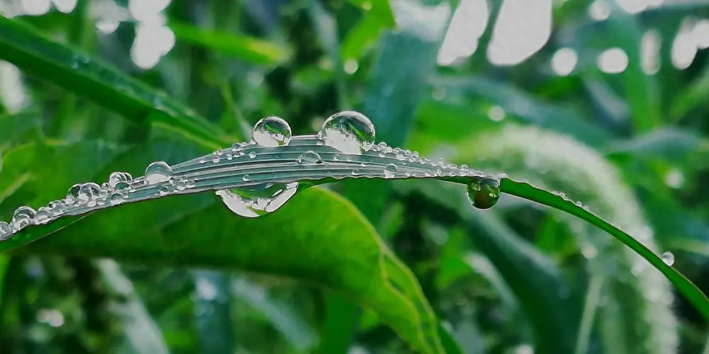 夏未尽，秋已至，一夜新凉，一骑秋风(图3)
