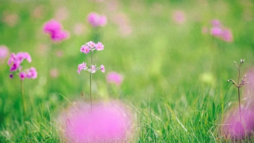 T恤文案：用独特的标语展现你的时尚态度(图1)