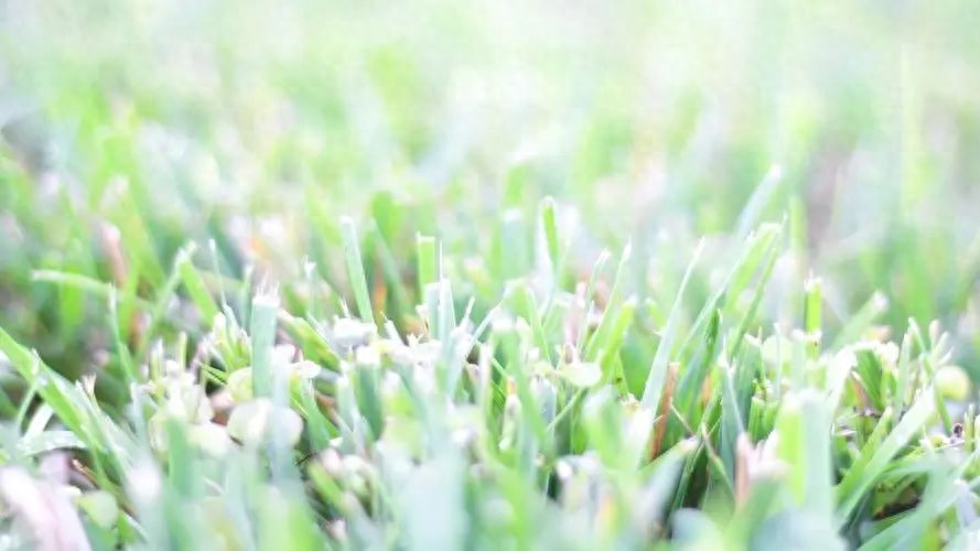 T恤文案：用独特的标语展现你的时尚态度(图6)