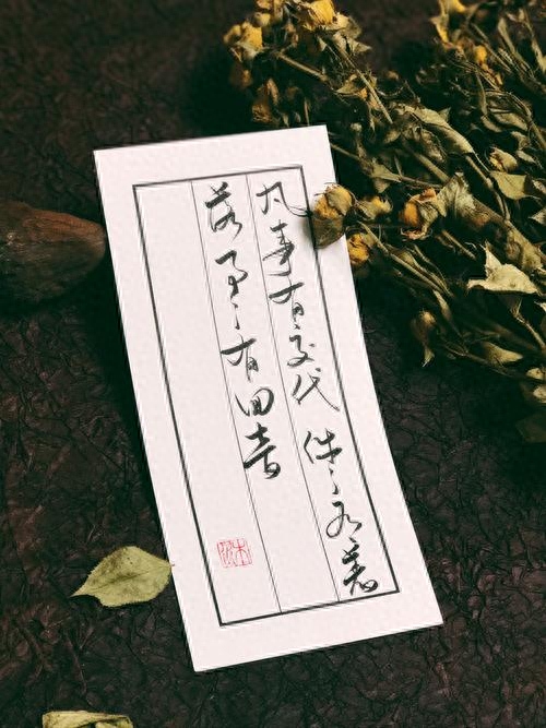 散文：生命之美，美在一份素淡(图2)