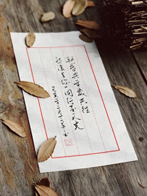 散文：生命之美，美在一份素淡(图4)