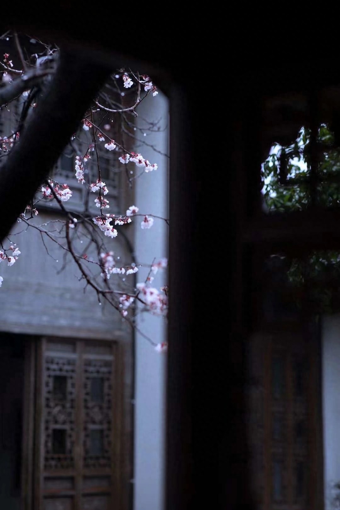 散文：醉美人间，不负春光，不负遇见，人生所遇皆是美好(图1)