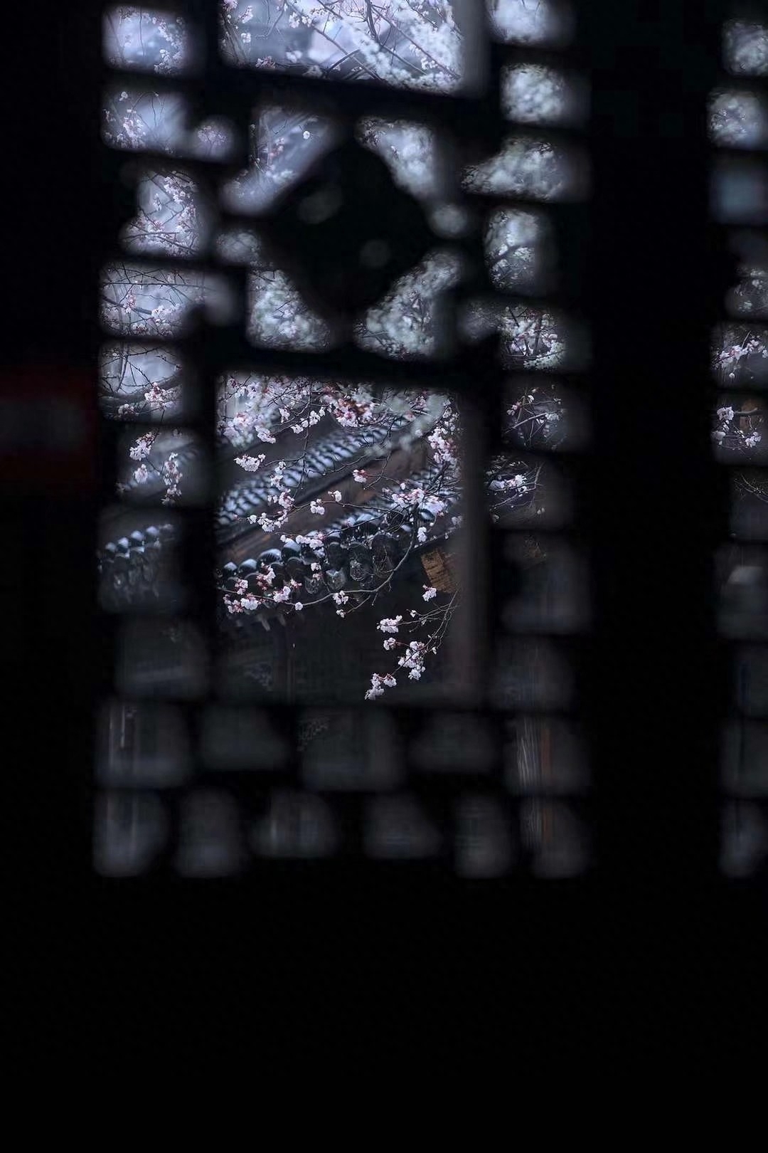 散文：醉美人间，不负春光，不负遇见，人生所遇皆是美好(图2)