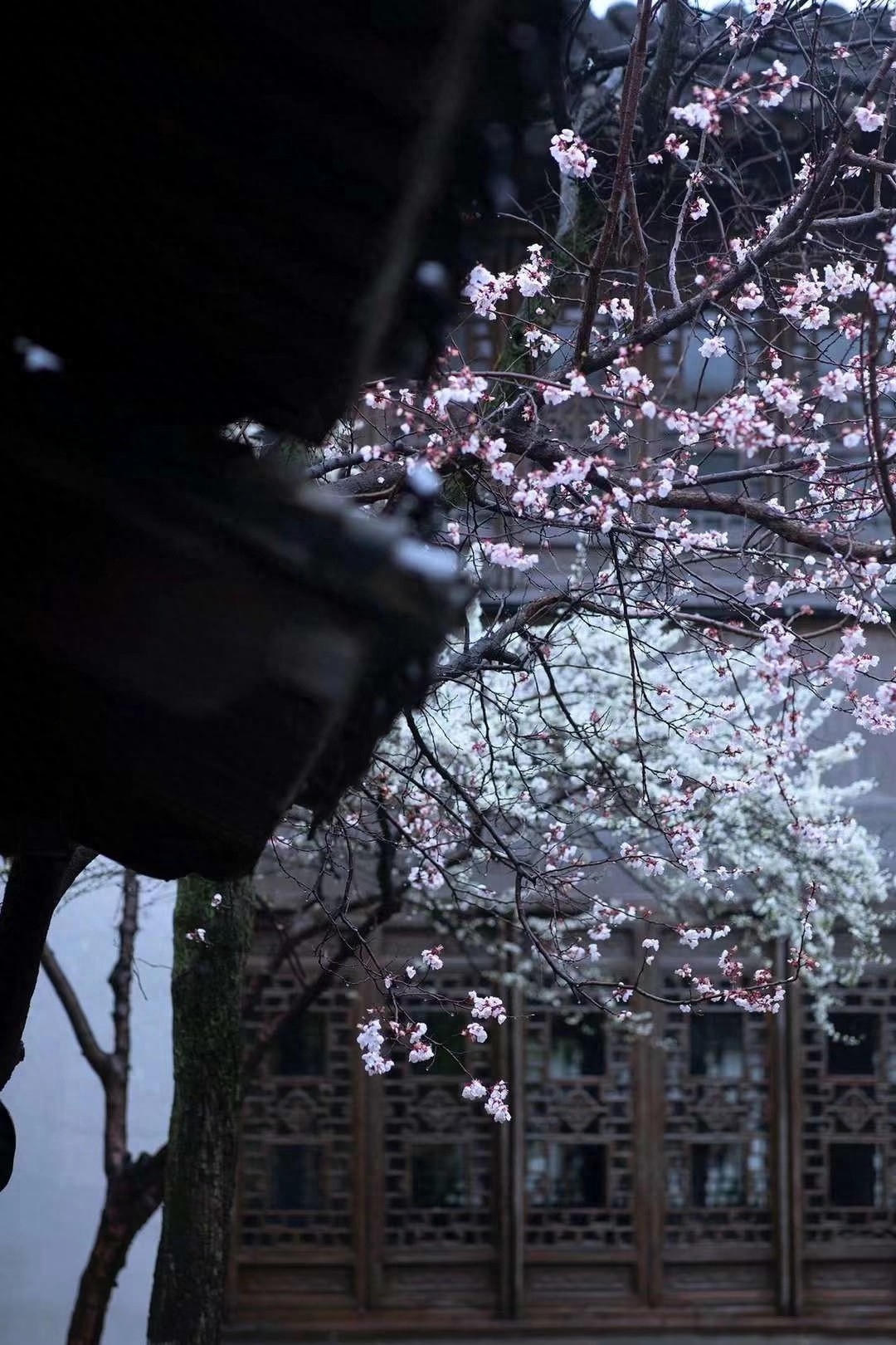 散文：醉美人间，不负春光，不负遇见，人生所遇皆是美好(图5)