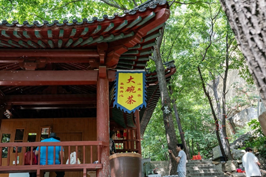 遇见祖山，于山间一品茗茶，享受美好时光 （上）(图12)