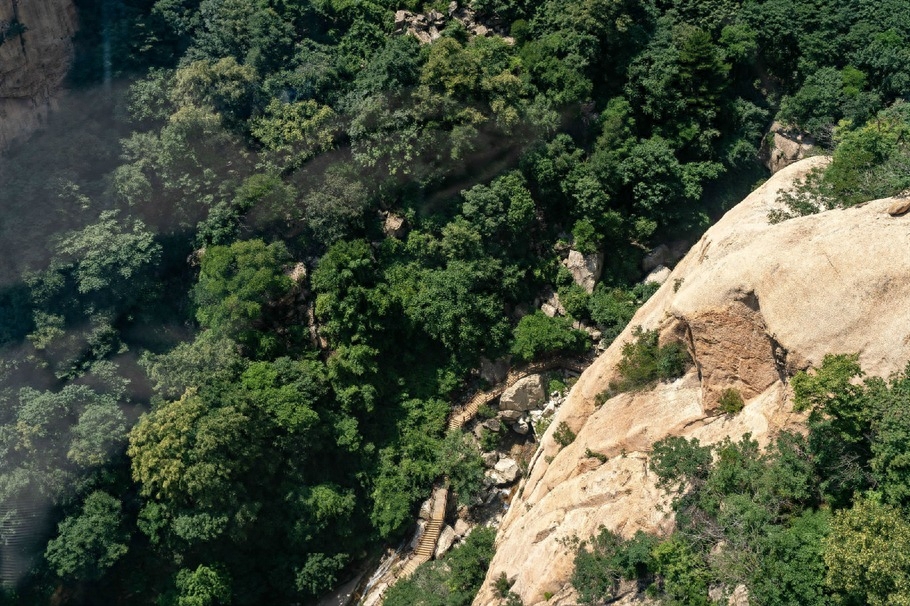 遇见祖山，于山间一品茗茶，享受美好时光 （上）(图16)