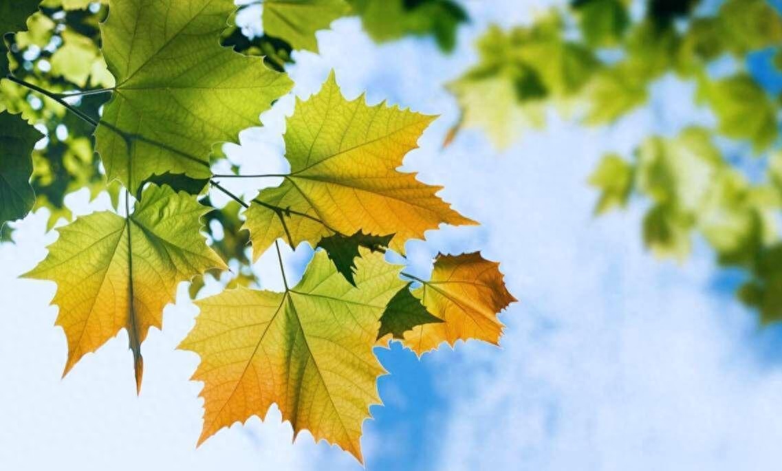 最让女人“动情”的六句情话，有些情商低的男人，一句都不会说！(图3)