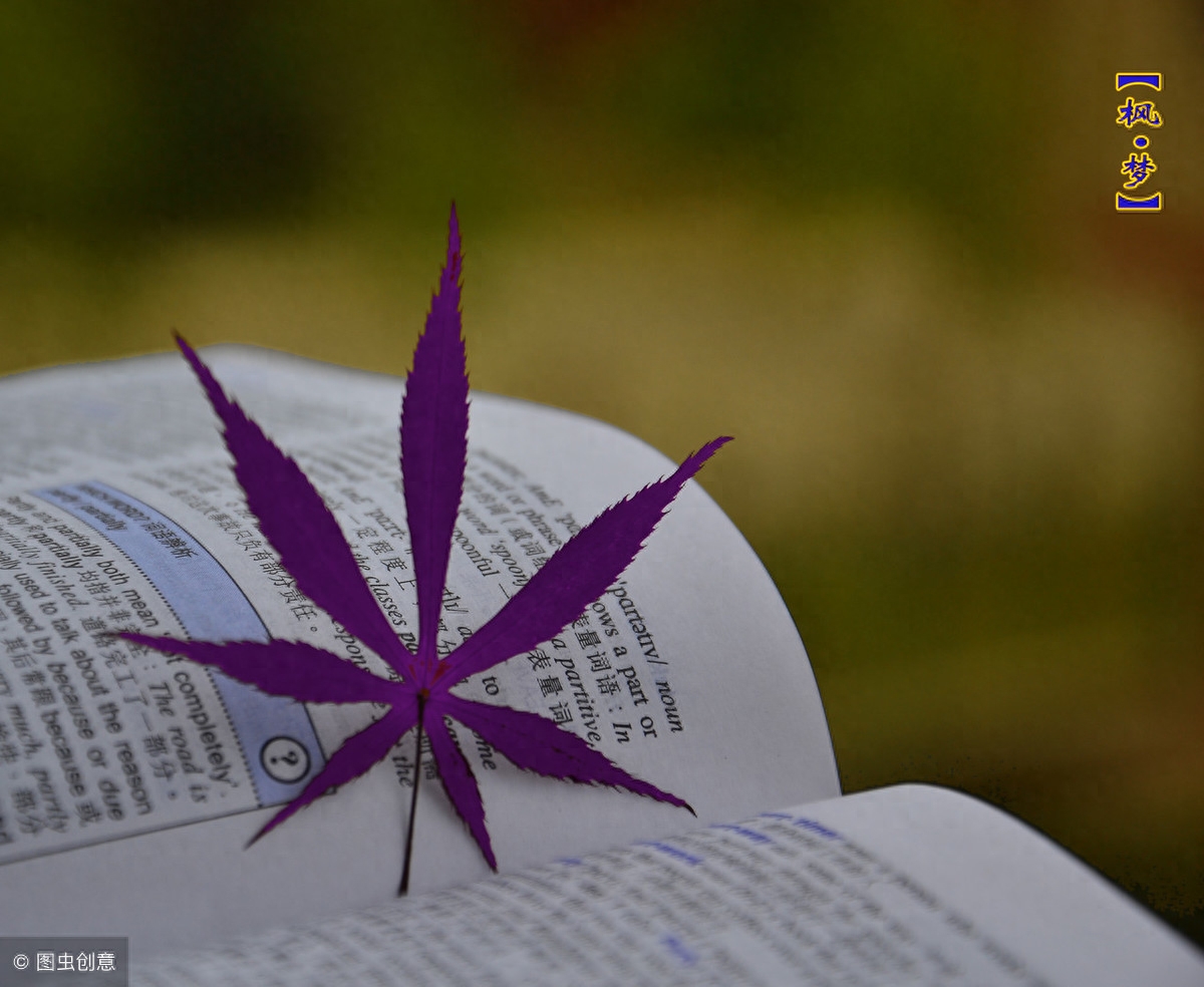 幽默搞笑的qq个性说说，有没有一句话戳中笑点？(图7)