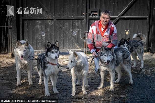 哈士奇们喜欢偷窥 主人满足他们的癖好在大门上钻特殊洞 像米老鼠(图4)