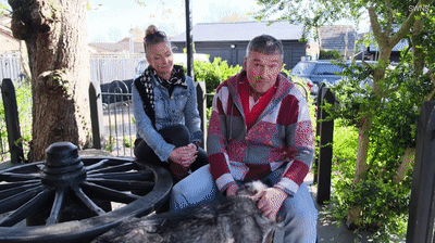 哈士奇们喜欢偷窥 主人满足他们的癖好在大门上钻特殊洞 像米老鼠(图5)