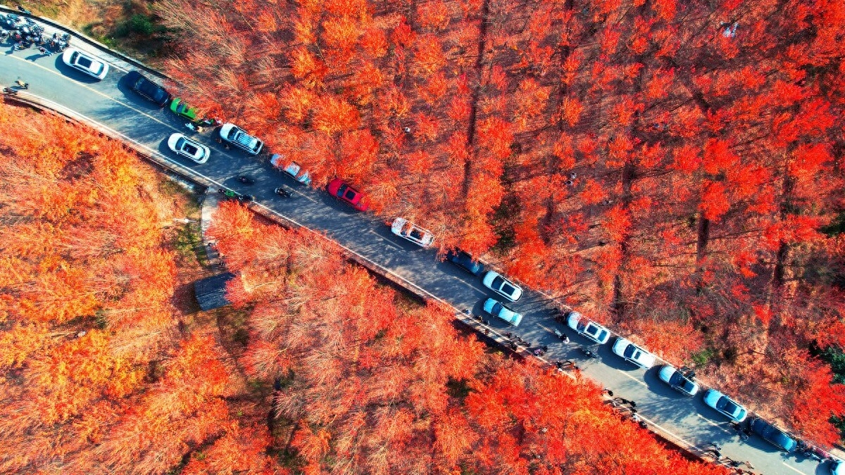 随笔，走在如此优美的街道上，周遭是如此地熟悉，如此亲切(图5)