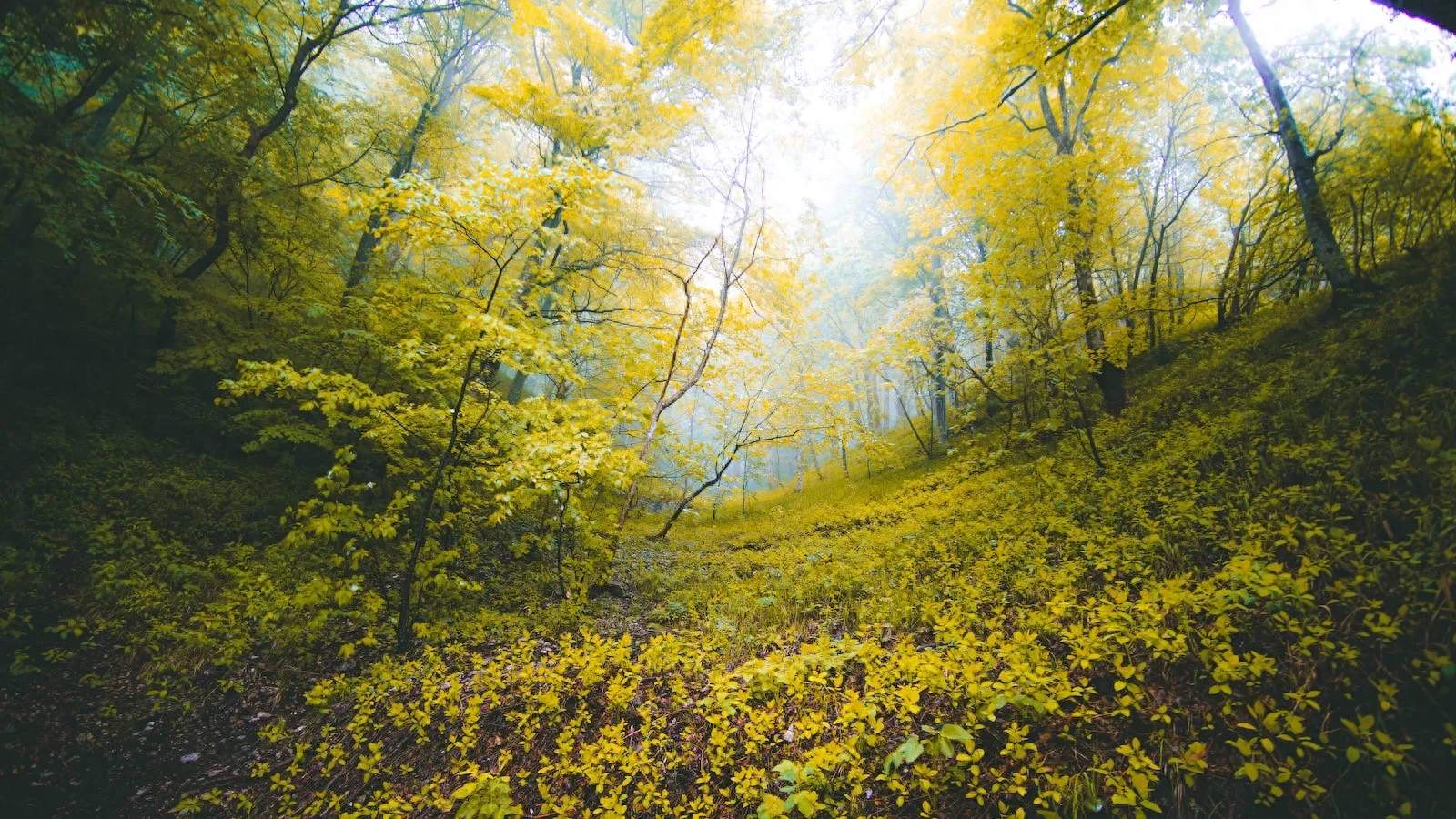 岁月千帆过，时光水慢流，愿你不染风尘，温柔如初(图2)