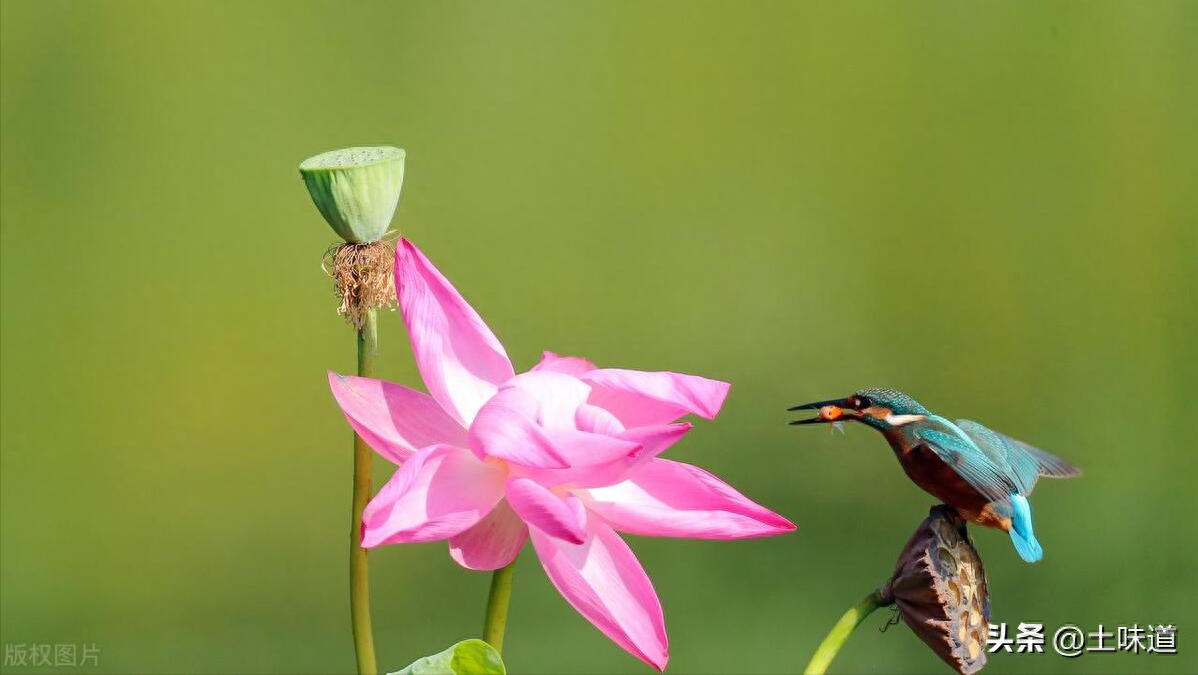 励志故事——品读杜光辉先生新作《假如我的耳朵没有聋》(图12)