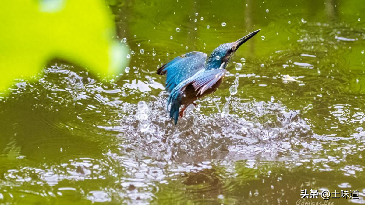 励志故事——品读杜光辉先生新作《假如我的耳朵没有聋》(图31)