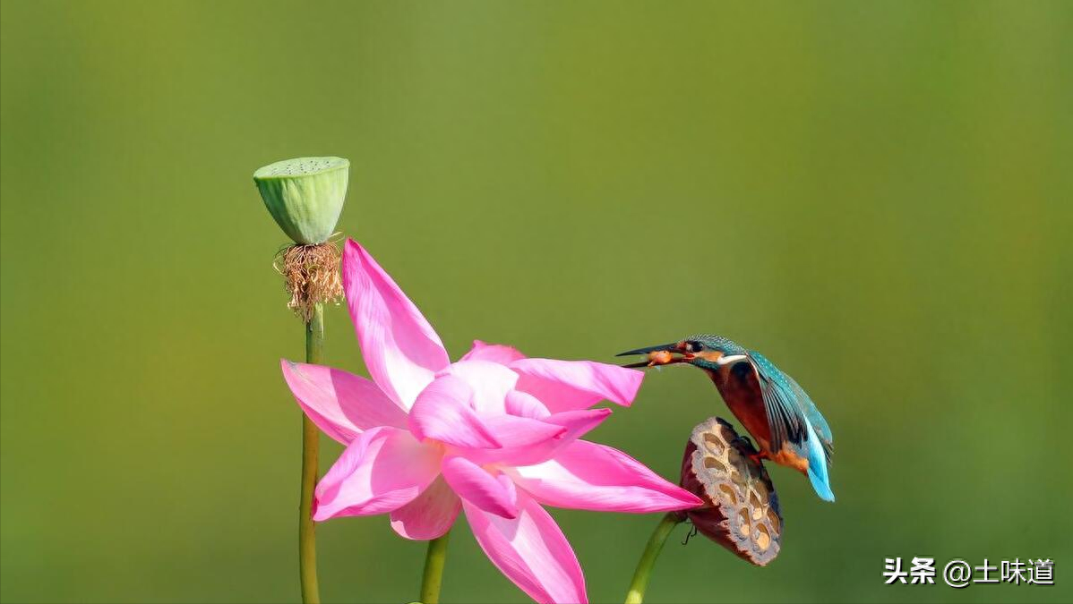 励志故事——品读杜光辉先生新作《假如我的耳朵没有聋》(图32)