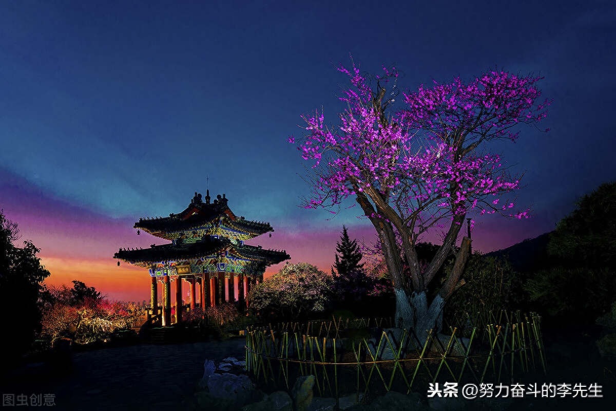 明月引人思，城市夜未央(图3)