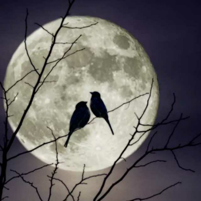 人生若只如初见这句经典语录竟然来自他的这首词，你知道吗？(图3)