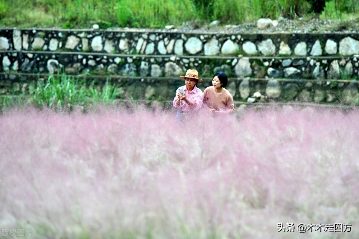 自觉是进步之母，自贱是堕落之源，故自觉心不可无，自贱心不可有(图3)