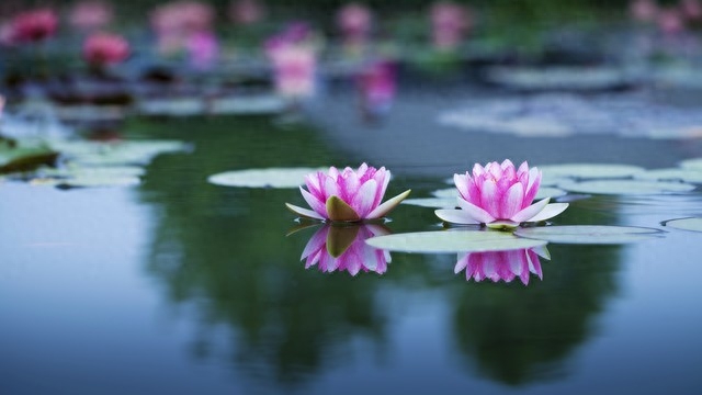 写给最爱的人，入了心的人，最难忘记，对你的想念，珍藏在心里(图1)