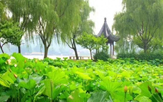 七月简短美句文案，七月你好文案，干净治愈，非常优美(图2)