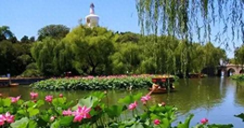 七月简短美句文案，七月你好文案，干净治愈，非常优美(图3)