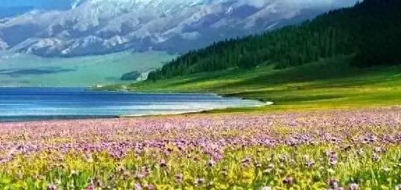 七月简短美句文案，七月你好文案，干净治愈，非常优美(图5)