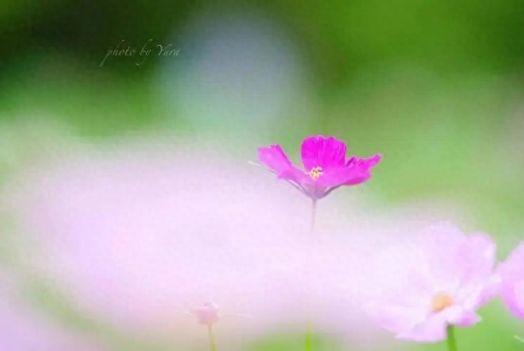 一段时光一段回忆的美好句子，句句入心坎(图1)