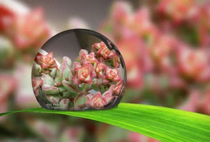 一段时光一段回忆的美好句子，句句入心坎(图2)