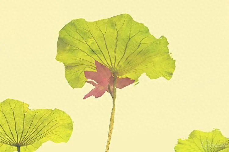 一段时光一段回忆的美好句子，句句入心坎(图3)