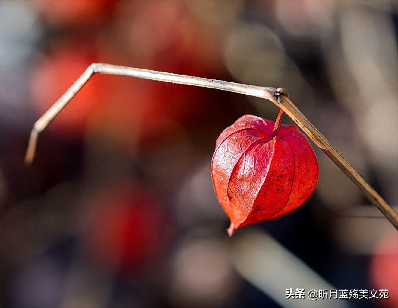 挚爱的你，此生难忘(图3)