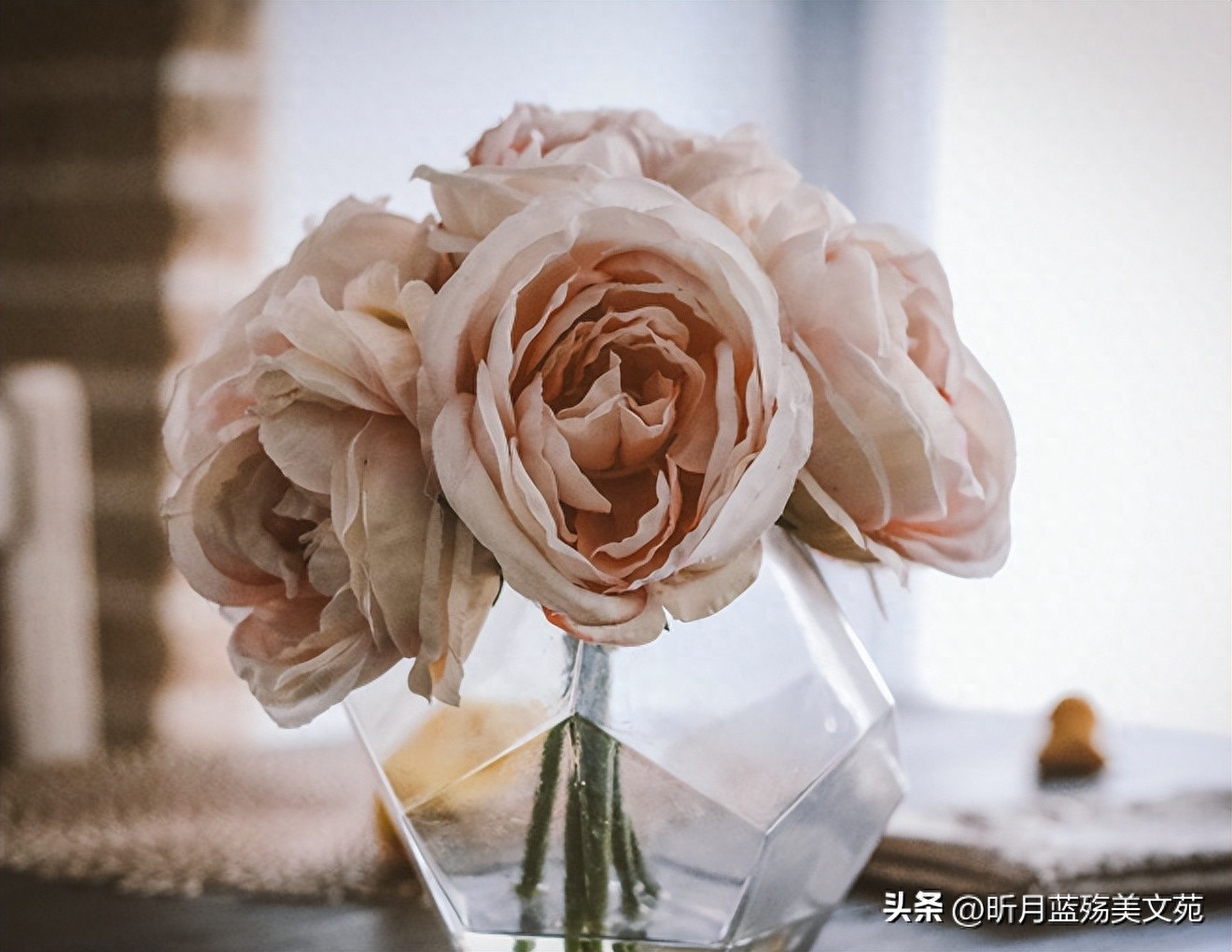 挚爱的你，此生难忘(图4)