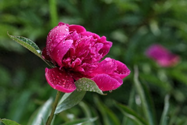 相思漫长，你好难忘(图3)